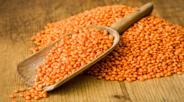 Red Lentil